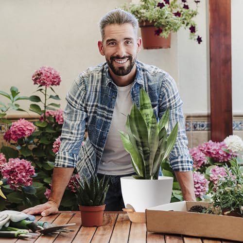 Plant Pots,12+10+9 Inch Self Watering Pots with Drainage Hole for Indoor Plants Large Flower Pot, Plants Pots Indoor Outdoor,Modern White Plastic Planters for Indoor Plants - Image 7