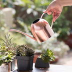 Stainless Steel Long Spout Watering Pot 500ml for Flowers - Image 4