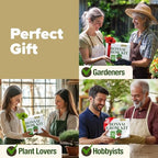HOME GROWN Bonsai Tree Starter Kit, 4 Varieties, Indoor Gardening Gift Set - Image 6