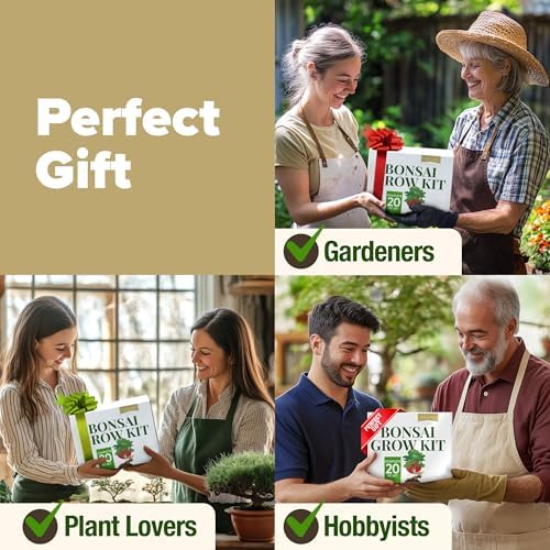 HOME GROWN Bonsai Tree Starter Kit, 4 Varieties, Indoor Gardening Gift Set - Image 6