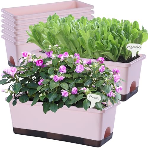 Oliz Window Box Planter 8 Pcs, 17 Inches Rectangle Flower Pots with Drainage Holes & Trays, Vegetable Planters for Windowsill Patio Garden Balcony Home Indoor Outdoor (Pink, 16 * 7 * 6 inch) by Oliz