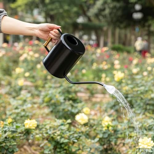 L&H Unico Stainless Steel 62oz Watering Can Long Spout Plant Misters for Indoor Plant Watering or Outdoor Gardening with 2Pcs Removable Spray Spout for Flowers Black - Image 5