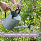 1 Gallon Watering Can for Plants, Watering Cans for Indoor&Outdoor Gardening, Galvanized Steel Watering Pot with Removable Spout, Metal Water Can with Ergonomic Movable Handle(Rustic Silver) - Image 5