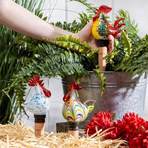 Evergreen Family Products Hillside Pasture Plant Support & Accessories, Art Glass & Terracotta, Rooster Watering Globe, 1 Count by Unknown