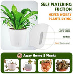 Self Watering Pots for Indoor Plants, 12-Pack 5'' Self Watering Planter with Drainage Holes, Small African Violet Pots with Water Indicator, Clear Wick Pot, White/Black/Blue/Rose Gold - Image 4