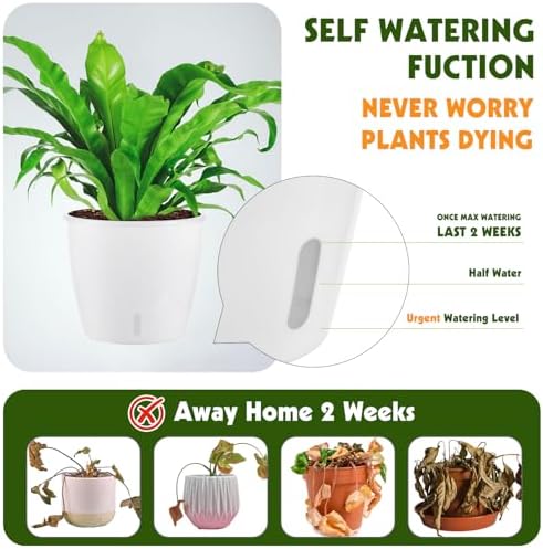 Self-Watering Pots for Indoor Plants, 8-Pack 6.7'' Self Watering Planter with Drainage Holes, Small African Violet Pots with Water Indicator, Clear Wick Pot, White - Image 3