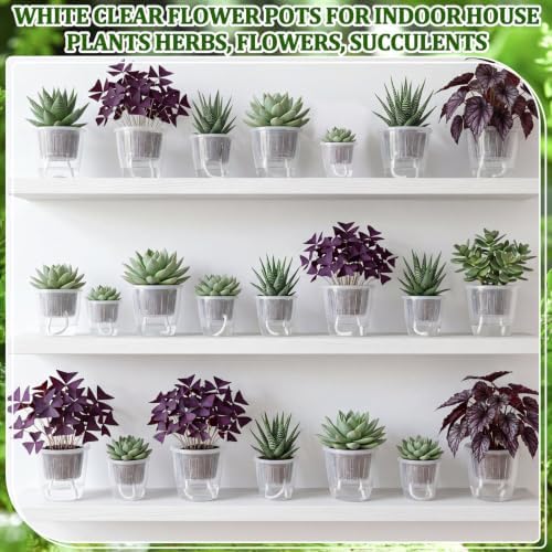 Self Watering Plant Pots, 4.3''/5.1''/6.6'', Transparent, 24 Pcs - Image 6