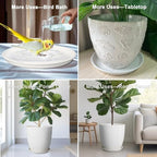 Plant Water Catcher Trays - Ceramic Plant Saucers 12 Inch Plant Trays for Indoors No Holes Plant Drip Trays Drainage Decorative Flower Pot Saucers Large Plant Dishes 2 Pack White - Image 7