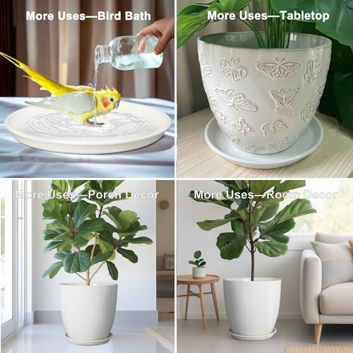 Plant Water Catcher Trays - Ceramic Plant Saucers 12 Inch Plant Trays for Indoors No Holes Plant Drip Trays Drainage Decorative Flower Pot Saucers Large Plant Dishes 2 Pack White - Image 7
