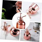 Steel Vintage Spout Bottle Watering Stainless with Long 300ml, Succulent - Image 5