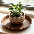 TITE Plant Saucer 16 inch,Heavy Large Planter Durable Thicker Plastic Plant Trays for Indoors and Outdoor,Plant Saucer Drip Trays,Brown (16 inch,Brown) Pack of 3 - Image 4