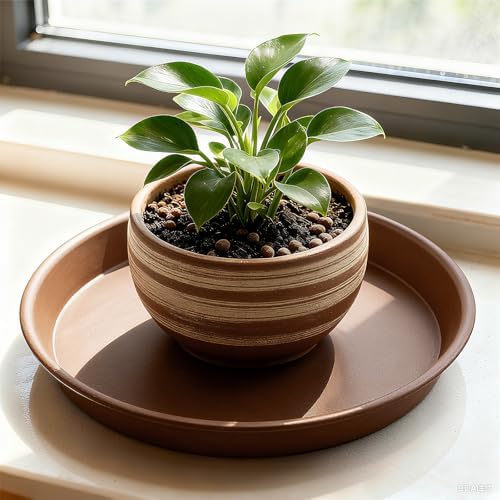 TITE Plant Saucer 16 inch,Heavy Large Planter Durable Thicker Plastic Plant Trays for Indoors and Outdoor,Plant Saucer Drip Trays,Brown (16 inch,Brown) Pack of 3 - Image 4