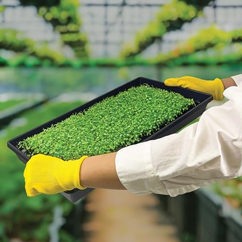 10 Plant Growing Trays (WITH Drain Holes) - 20" x 10" - Perfect Garden Seed Starter Grow Trays: For Seedlings, Indoor Gardening, Growing Microgreens, Wheatgrass & More - Soil or Hydroponic - Image 7