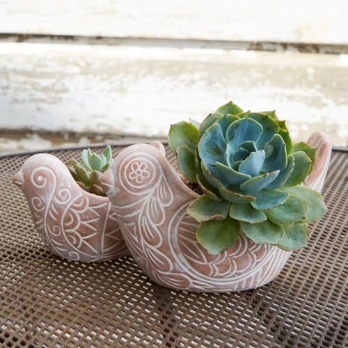 Decorative Terracotta Watering Spikes Set, Snail and Squirrel Shape, 6" Tall - Image 5