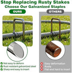 AMAGABELI 6 Inch 500 Pack Galvanized Landscape Staples 11 Gauge Anti-Rust Heavy Duty Garden Stakes Plant Cover Spikes U-Shaped Sod Pins Fence Stakes for Weed Barrier,Irrigation Tubing,Lawns,Decoration - Image 3