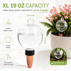 19 oz Large Self Watering Globes for Plants, Top Fill, 6 Pack - Image 5