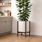 D'vine Dev Plastic Pot with Walnut Wood Stand, Oatmeal, 14 in, 55-C-R-3 - Image 4