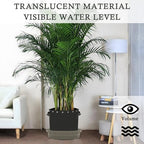 5-Pack Self-Watering Base with Visible Water Level - Image 4