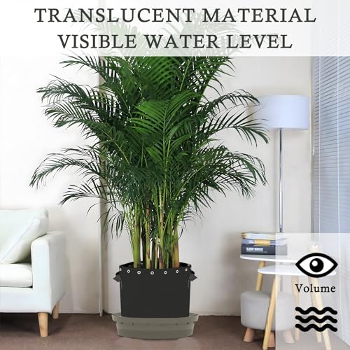 5-Pack Self-Watering Base with Visible Water Level - Image 4