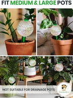 16 Oz 2 pcs Plant Watering Globes for Indoor Plants with Metal Self Watering Planter Insert - Premium XL Glass Hand-blown Globes - Automatic Plant Waterer Indoor, Gift For Gardeners [Mosaic & Crystal] - Image 5
