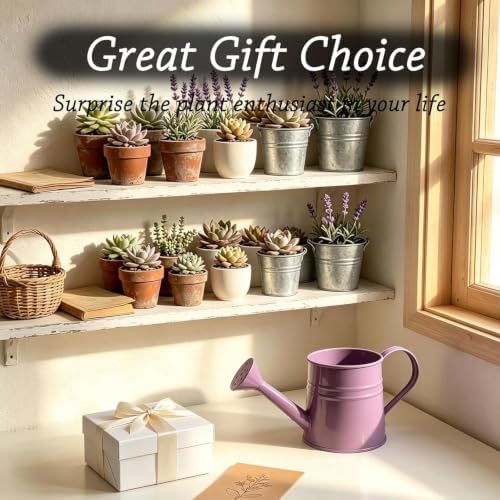 Green 1l Small Watering Can – Retro Metal,Sprinkler Head,Spray Spout for Indoor Plants,Kids,Outdoor Flowers & House - Image 3