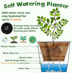 Planterhoma 5 Inch Self Watering Pots for Indoor Plants, 12 Packs Self Watering Planters for Orchid, Spider Plant, Devil's Ivy & African Violet, Water Indicator & Black Wick Pots, White/Black - Image 5