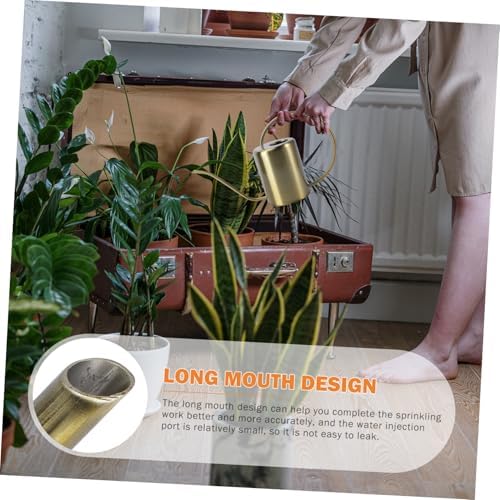 Watering Can with Long Spout 2000ml Stainless Steel Golden - Image 7