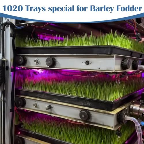 50-Pack Heavy-Duty 1020 Seed Trays No Holes, Thick Plastic Plant Flats - Image 5