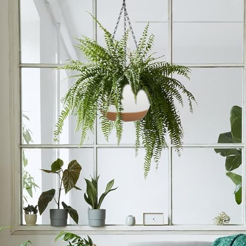 2 Pack Self Watering Hanging Planters: 9.7 Inch Pots with Chain Tray, White - Image 3