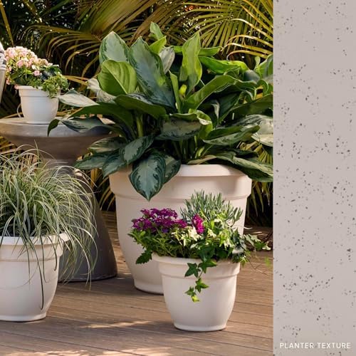 Bloem Ariana 16" Plastic Self-Watering Planter, Vanilla Bean, 2-Pack - Image 2