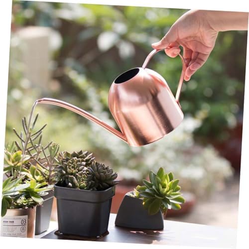 Rose Gold Stainless Steel Watering Pot Long Spout Gardening Tool for Indoor Plants Succulents Practical Plant Sprinkler - Image 4
