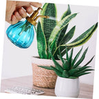 HANABASS 2pcs Vintage Glass Watering Can and Nozzles for Plant Misting and Watering Elegant Decorative Spray Bottles for Indoor and Outdoor Use - Image 2