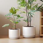 LE TAUCI 10 + 12 Inch Ceramic Plant Pots, Set of 2, White by LETAUCI