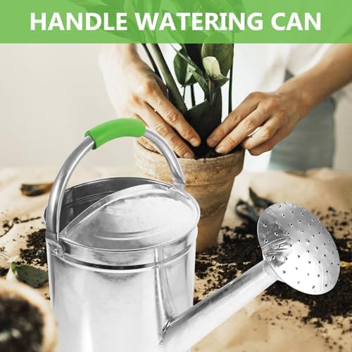 Vintage Stainless Steel Garden Watering Kettle 5l Silver for Bonsai Xmas - Image 3