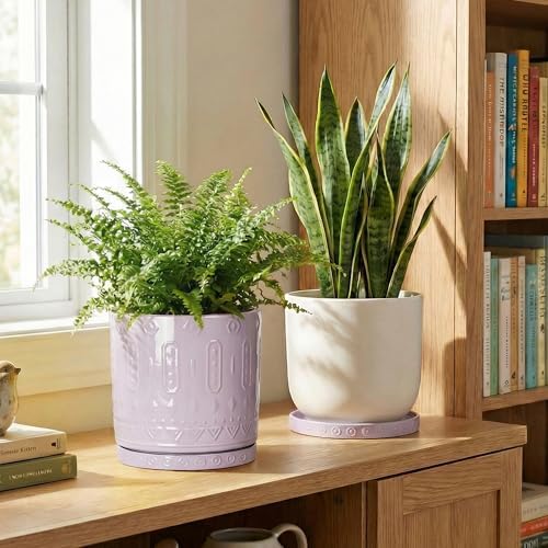 Eightpot 2 Pack Plant Trays for Pots, 7.5 Inch Plant Plates to Catch Water for Indoor Outdoor, Round Plants Water Catcher Tray, Boho Flower Pot Saucer, Decorative Plants Dishes to Catch Water, Purple - Image 6