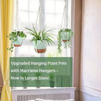 Bouqlife Large Hanging Planters with Macrame Plant Hangers for Indoor Outdoor Plants 3 Set 10" / 8" / 7" Self Watering Pots Hanging Baskets Flower Pot Holders 3 Different Size Green Large - Image 4