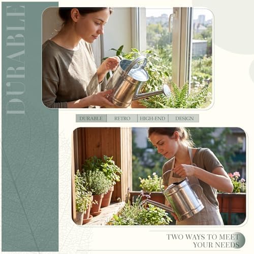 Geetery 2 Gallon Galvanized Metal Watering Can, Removable Spout,Silver - Image 5