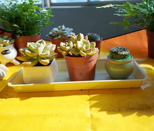 VUWEZ 2 Pack Plastic Plant Saucer, Rectangular 24 inch, Indoors/Outdoors, Drip Tray for Flower Pot, Windowsill (8 X 24'', Beige) - Image 5