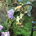 Leak-Free Automatic Watering System Garden Drip Irrigation Kits by Unknown