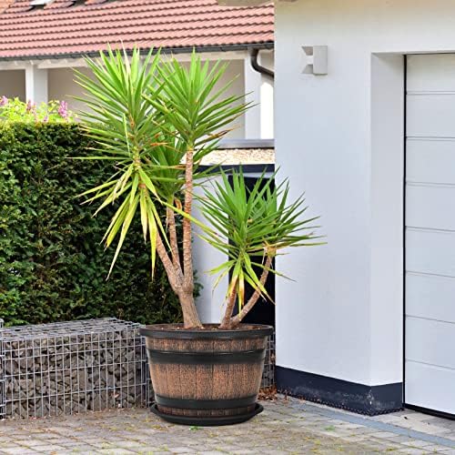 Quarut Large Plastic 3 Pack16 inch Plant Pots,Whiskey Barrel Planters with Drainage Holes & Saucer.Flower Pots Imitation Wine Barrel Design for Indoor & Outdoor Garden Balcony Plants.7 Gallons(Brown) - Image 7