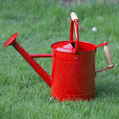 1 Gallon Red Metal Watering Can, Removable Spout by HORTICAN