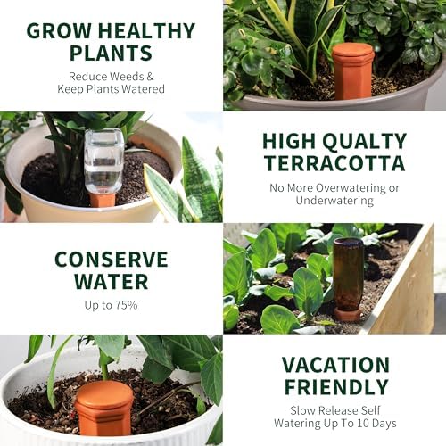 Soilagua Large Terracotta Watering Spikes with Lids, Automatic Plant Waterer Outdoor | Indoor, Vacation Friendly Clay Plant Watering Devices System, Slow Release Self Watering Planter Insert, 6 Pack - Image 6