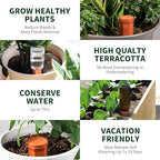 Soilagua Large Terracotta Watering Spikes with Lids, Automatic Plant Waterer Outdoor | Indoor, Vacation Friendly Clay Plant Watering Devices System, Slow Release Self Watering Planter Insert, 6 Pack - Image 6