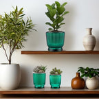 Set of 6 Self Watering Plant Pot 3 Sizes Plastic Double Layer Self Watering Flower Pot with Multi Mesh Drainage Holes Wicking Reservoir for Indoor Outdoor Garden Plants(Green) - Image 6