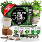 HOME GROWN 5 Herb Indoor Garden Starter Kit, Christmas Gardening Gift by HOMEGROWN