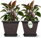 Usocik 10 Inch Square Planter Pots with Saucers, Coffee Brown, 2 Pack by Usocik
