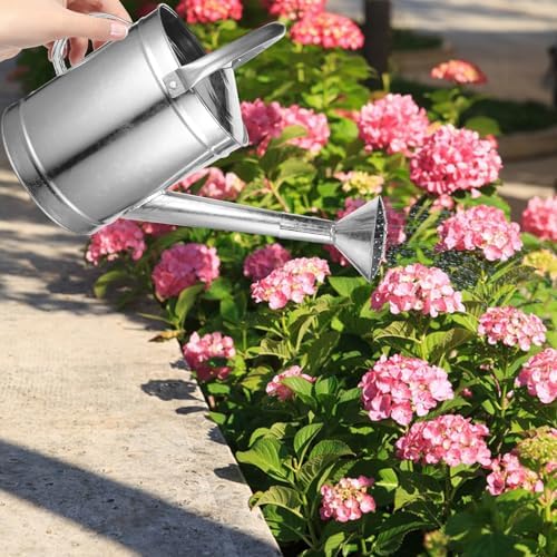 5l Metal Watering Can for Indoor Plants with Thickened Stainless Steel Body and Spray Spout, Fixed Handle Watering Pot Suitable for Succulents and Houseplants Assorted Assorted - Image 7