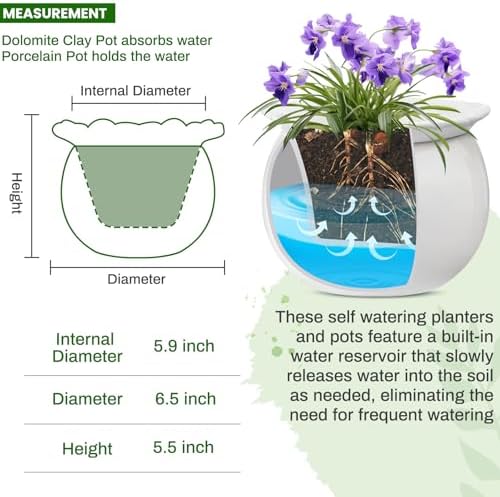 Suclain 2 Pcs African Violet Pots, 6.5 Inch Self Watering Pots for Indoor Flowers and Plants Ceramic Easy Self Watering Plant Pot with Highly Absorbent Inner Planter Pot for Tropical Plants(White) - Image 2