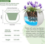 Suclain 2 Pcs African Violet Pots, 6.5 Inch Self Watering Pots for Indoor Flowers and Plants Ceramic Easy Self Watering Plant Pot with Highly Absorbent Inner Planter Pot for Tropical Plants(White) - Image 2