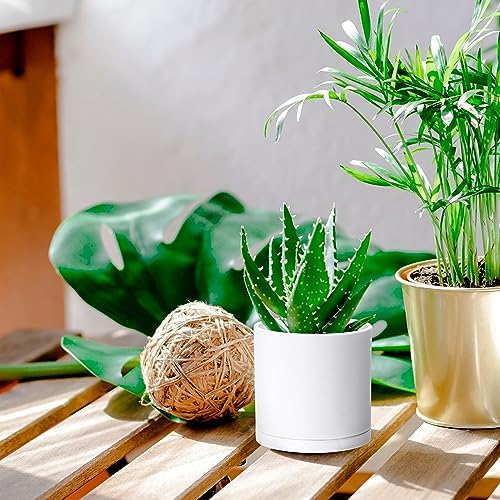 D'vine Dev 6-Pack White Plastic Planters with Saucers, 4.5 in, 74-Z-F-3 - Image 3